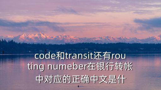 code和transit還有routing numeber在銀行轉(zhuǎn)帳中對(duì)應(yīng)的正確中文是什