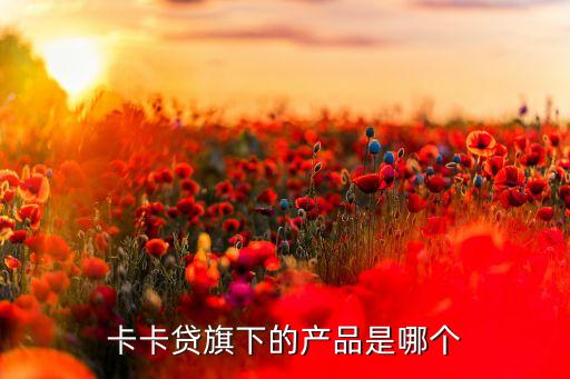 卡卡貸旗下的產(chǎn)品是哪個(gè)