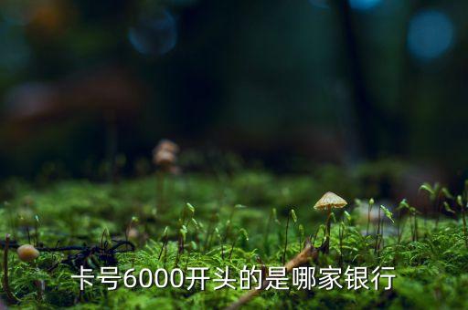 6000開頭是什么銀行，卡號6000開頭的是哪家銀行