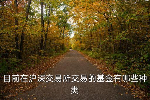 目前在滬深交易所交易的基金有哪些種類