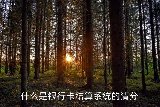 銀行什么什么清算，在銀行業(yè)務(wù)中清算是什么意思請(qǐng)大伙解釋一下
