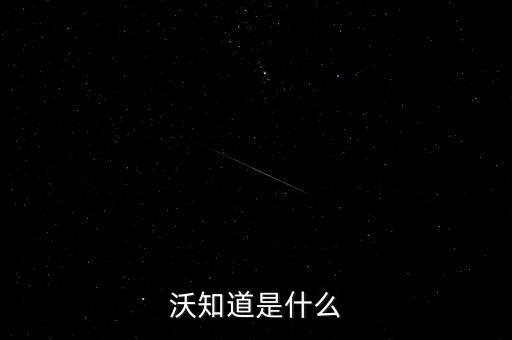 沃知道是什么