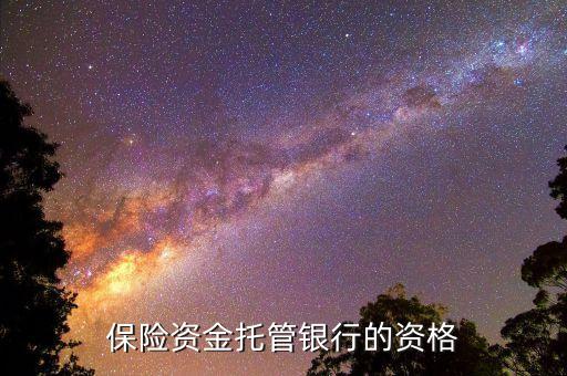保險資金托管銀行的資格