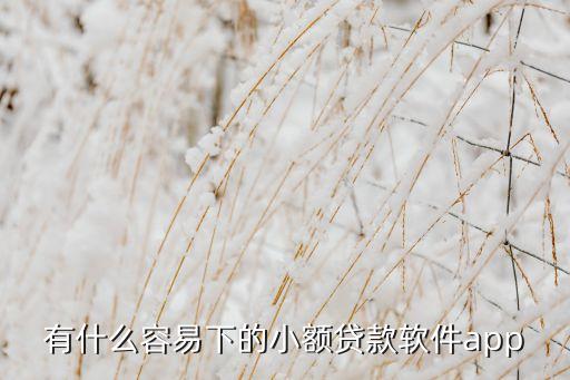 有什么容易下的小額貸款軟件app