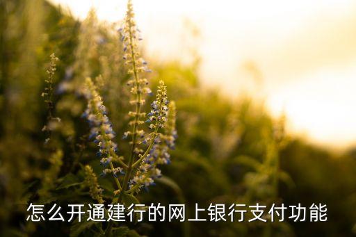 如何開通建行e支付密碼是什么，建設銀行快捷支付怎么開通
