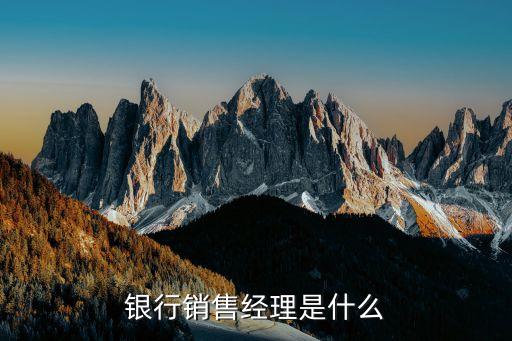 銀行銷(xiāo)售經(jīng)理是什么