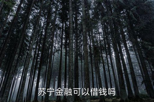 蘇寧金融可以借錢嗎