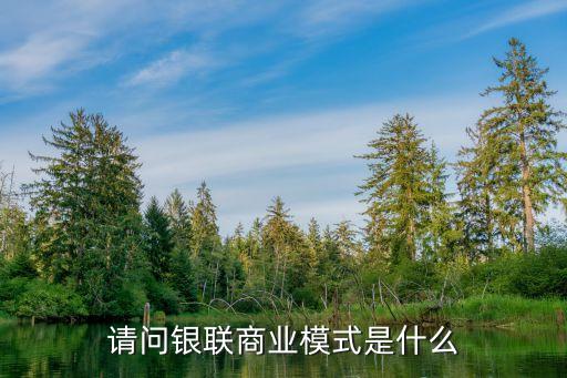 請問銀聯商業(yè)模式是什么