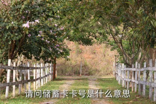 卡片號碼是什么意思，請問儲蓄卡卡號是什么意思