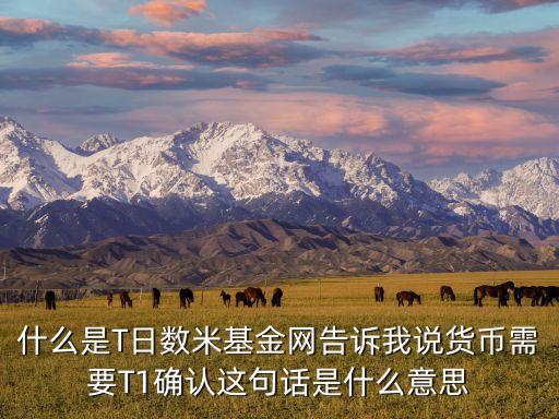 什么是T日數(shù)米基金網(wǎng)告訴我說貨幣需要T1確認這句話是什么意思