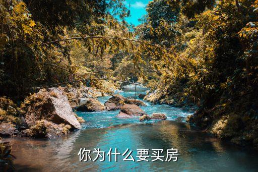 你為什么要買房