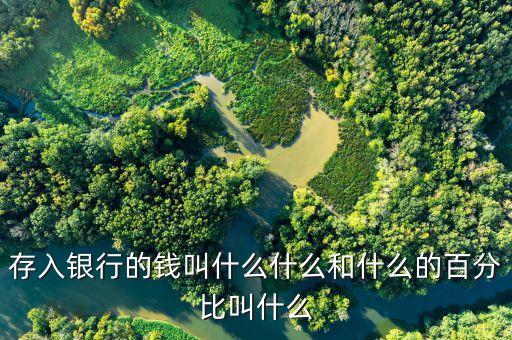 存入銀行的錢叫什么什么和什么的百分比叫什么
