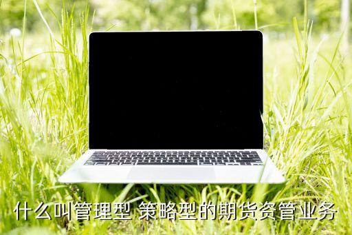 什么叫管理型 策略型的期貨資管業(yè)務(wù)