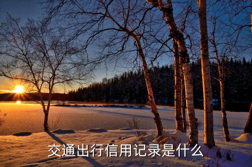 交通出行信用記錄是什么