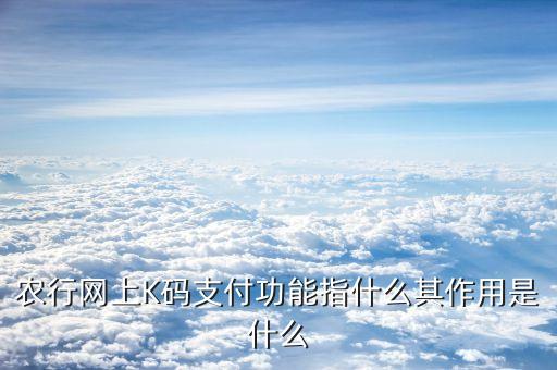 k碼支付什么意思啊，農(nóng)行的k碼是什么是不是就是網(wǎng)銀啊求解