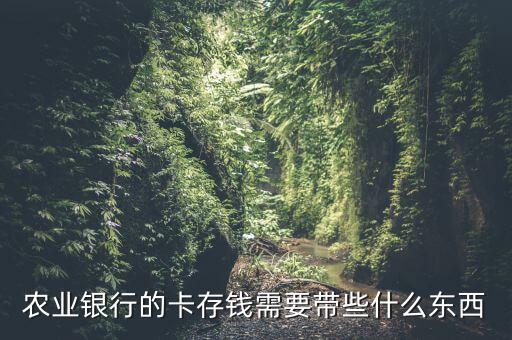 去銀行存錢需要些什么，農(nóng)業(yè)銀行的卡存錢需要帶些什么東西