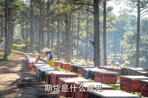 期貨是什么意思
