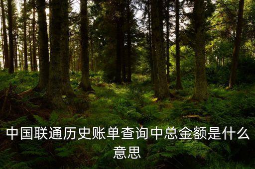中國(guó)聯(lián)通歷史賬單查詢中總金額是什么意思