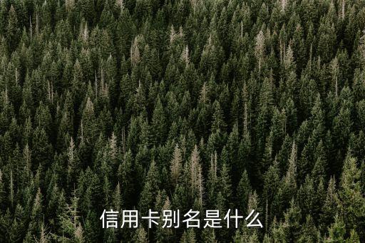 信用卡別名是什么