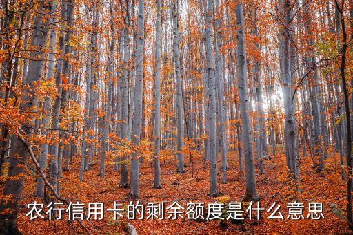 農(nóng)行信用卡余額是什么意思，農(nóng)行信用卡的剩余額度是什么意思