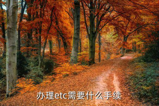 辦理etc信用卡要什么資料，辦理etc需要什么手續(xù)