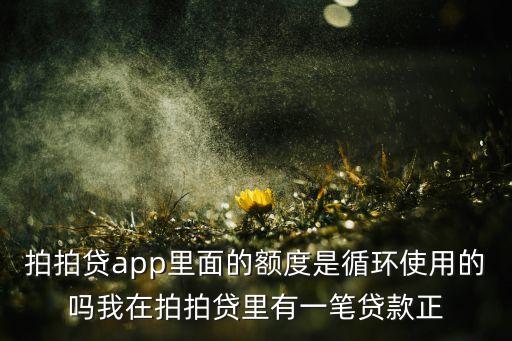 拍拍貸額度和什么共享，佰仟拍拍貸捷信這著他們是資源共享嗎