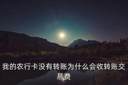 我的農(nóng)行卡沒有轉(zhuǎn)賬為什么會收轉(zhuǎn)賬交易費