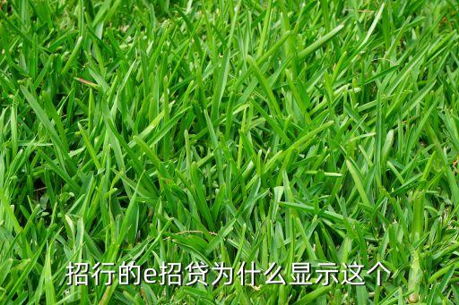 招行的e招貸為什么顯示這個(gè)