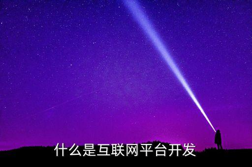 什么是互聯(lián)網(wǎng)平臺開發(fā)