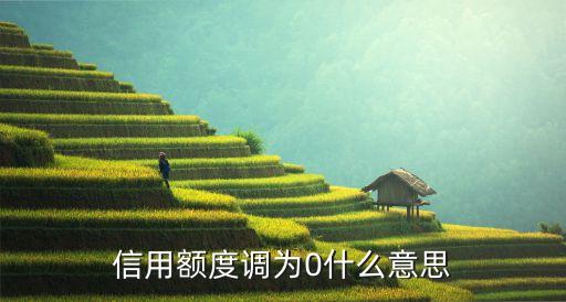 工商信用卡0額度什么意思，信用額度調(diào)為0什么意思
