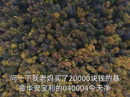 問一下我老媽買了20000塊錢的基金華安寶利的040004今天凈