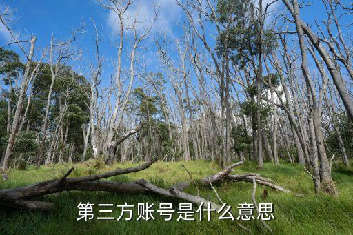 第三方平臺(tái)帳號(hào)是什么意思，第三方賬號(hào)是什么意思