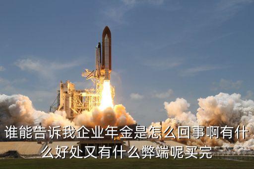 誰能告訴我企業(yè)年金是怎么回事啊有什么好處又有什么弊端呢買完