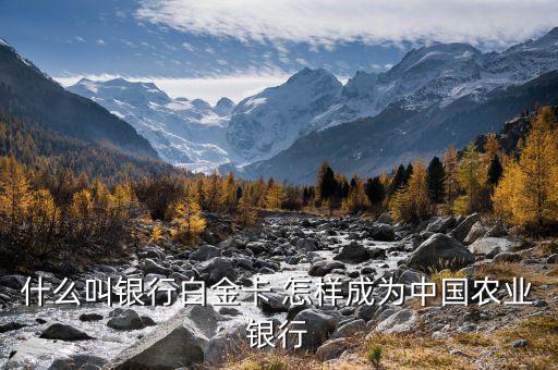 什么叫銀行白金卡 怎樣成為中國(guó)農(nóng)業(yè)銀行
