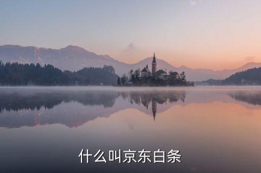 什么叫京東白條