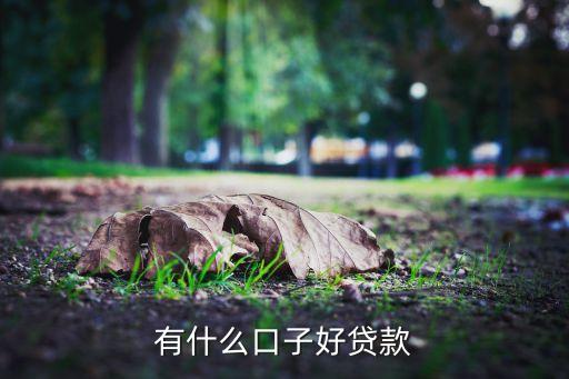 有什么口子好貸款