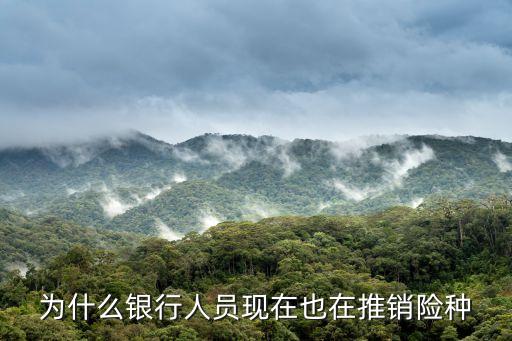 銀行為什么銷售保險(xiǎn)公司，為什么銀行人員現(xiàn)在也在推銷險(xiǎn)種