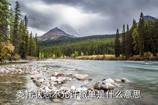 委托狀態(tài)不允許撤單是什么意思