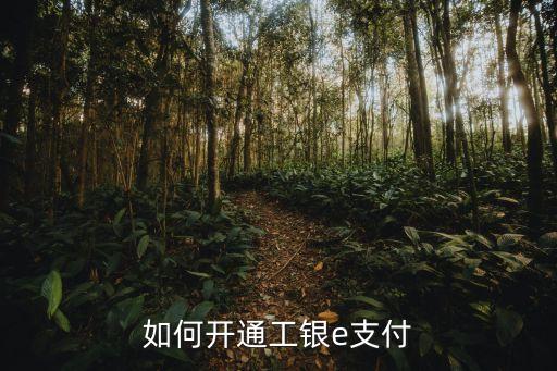 如何開通工銀e支付