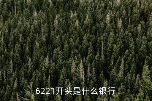 6221開頭是什么銀行