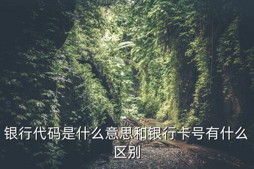 銀行代碼是什么意思和銀行卡號(hào)有什么區(qū)別