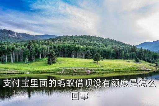 為什么我的螞蟻借唄沒有額度，為什么我的支付寶螞蟻借唄沒有額度