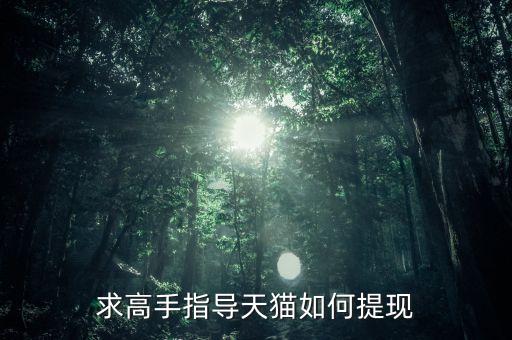 天貓?jiān)趺刺岈F(xiàn) 訂單貸款嗎，求高手指導(dǎo)天貓如何提現(xiàn)
