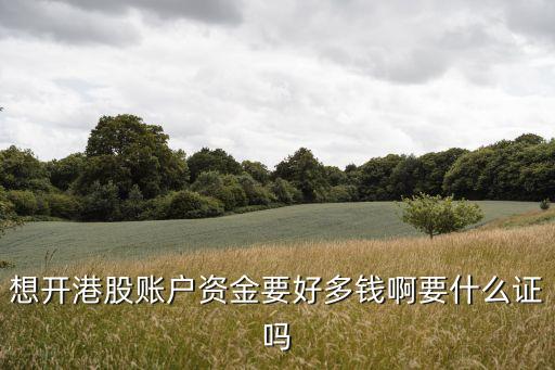 港股戶是什么類型，想開港股賬戶資金要好多錢啊要什么證嗎