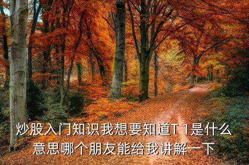 炒股入門知識我想要知道T 1是什么意思哪個朋友能給我講解一下