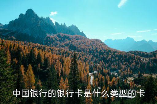 中國(guó)銀行卡是什么，中國(guó)銀行借記卡是什么意思