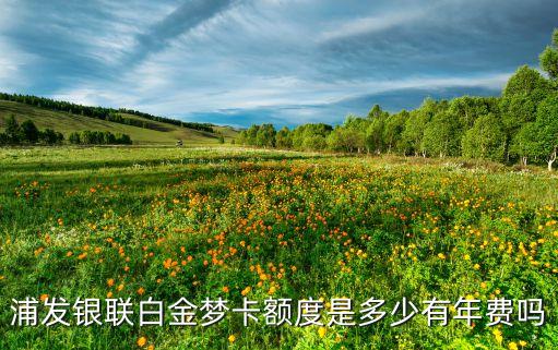 浦發(fā)銀聯(lián)白金夢卡額度是多少有年費嗎