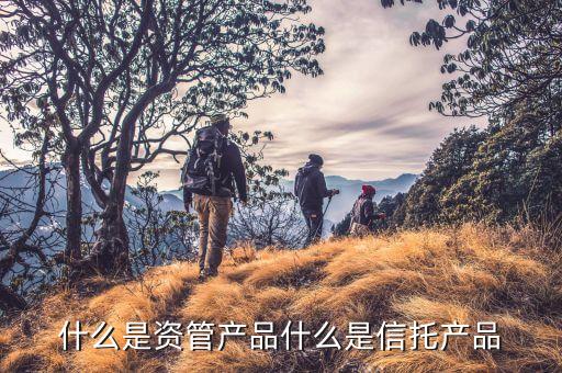 什么是資管產(chǎn)品什么是信托產(chǎn)品