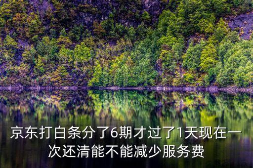京東打白條分了6期才過了1天現(xiàn)在一次還清能不能減少服務(wù)費