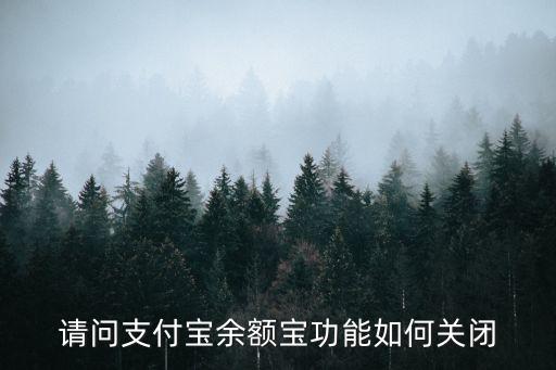 請(qǐng)問支付寶余額寶功能如何關(guān)閉